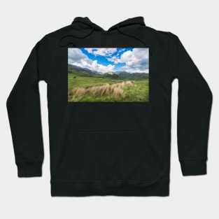 Old Man Of Coniston Hoodie